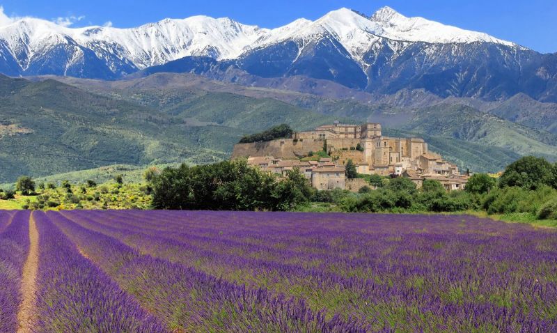 provence tourisme